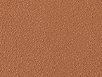 Cognac color