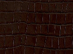 Brown Croc color