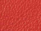 Scarlet color