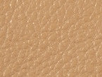 Camel color