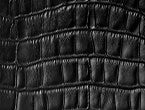 Black Croc color
