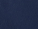 Navy Blue color