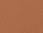 Neutral color