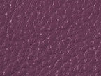 Deep Plum color