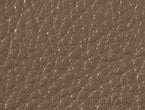 Cocoa color