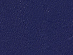 Regatta Blue color