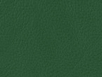 color Verde Fairway