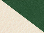 color Arena/Verde Fairway